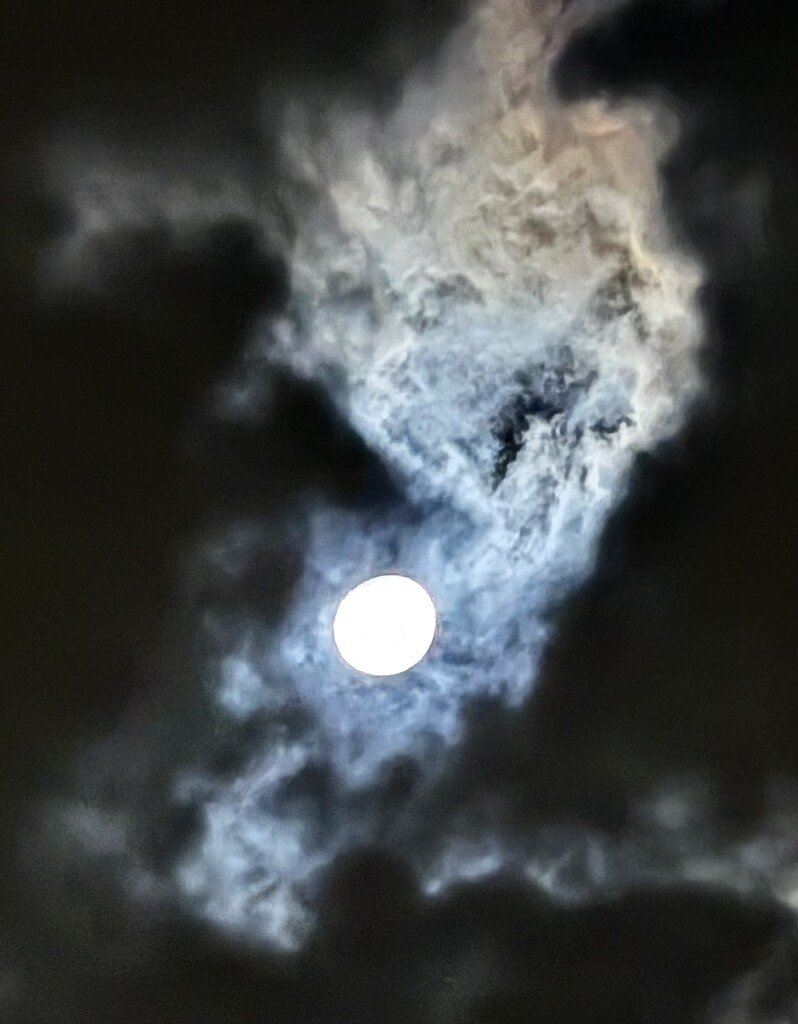 Moon and night clouds, 3 am by congaree