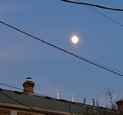 11th Feb 2025 - I See the Moon and the Moon Sees Me