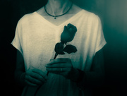 10th Feb 2025 - deadly nightshade