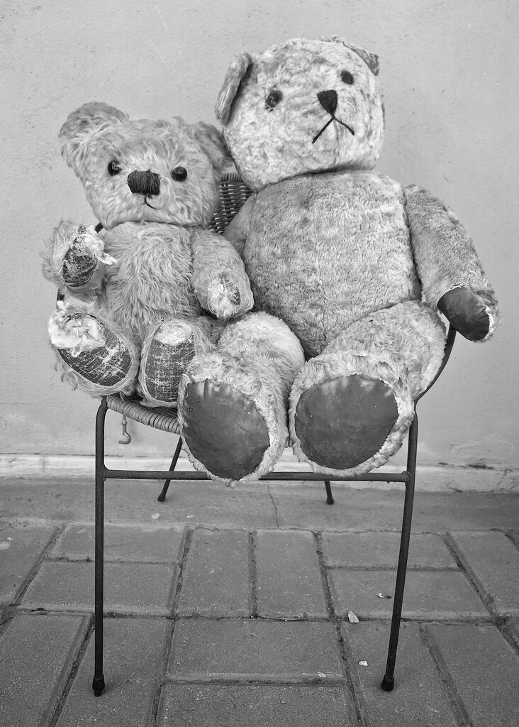 Vintage Teddy Bears by salza