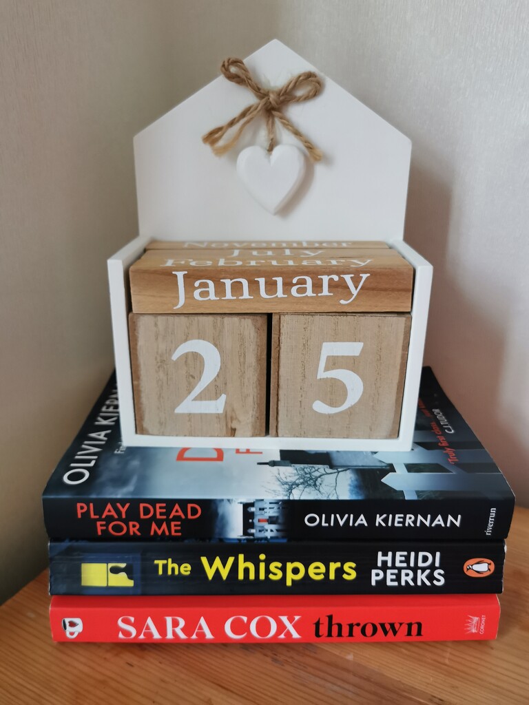 Books Read in January 2025 by plainjaneandnononsense