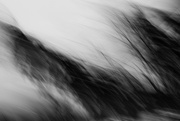 10th Feb 2025 - Existential Dread