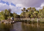 11th Feb 2025 - Centenary Park P2115585