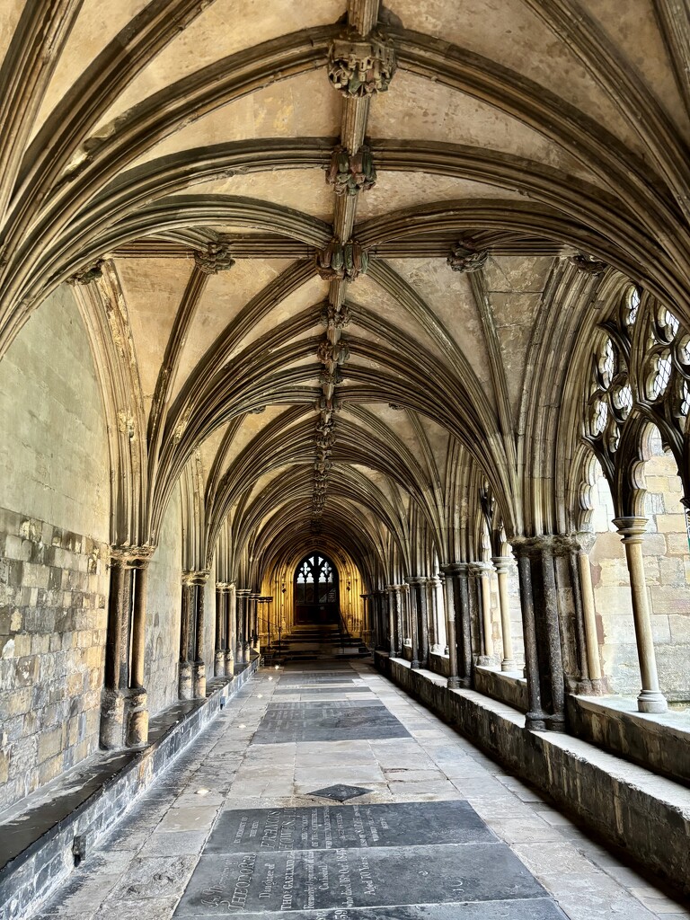 Cathedral Cloisters by gillian1912