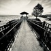 Into the sun