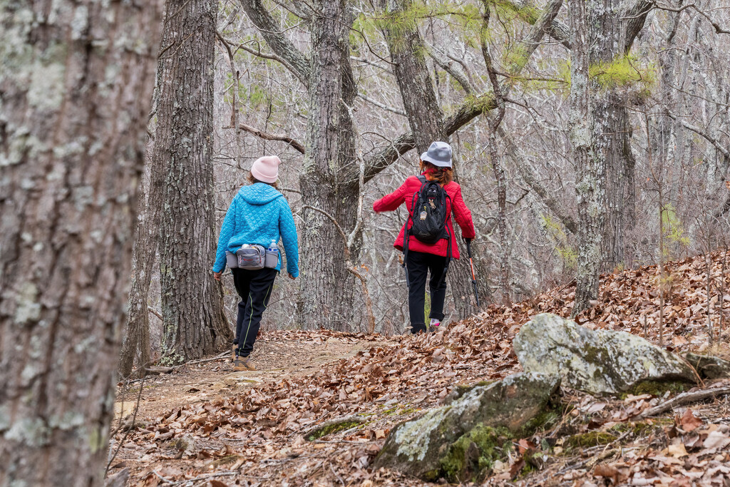 Hiking the Orange Trail  by kvphoto
