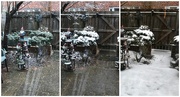 12th Feb 2025 - Not Much