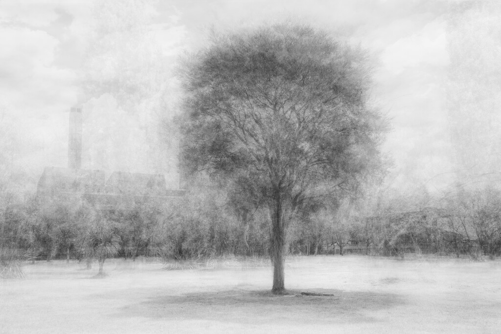 Tree Pep-Style by nickspicsnz