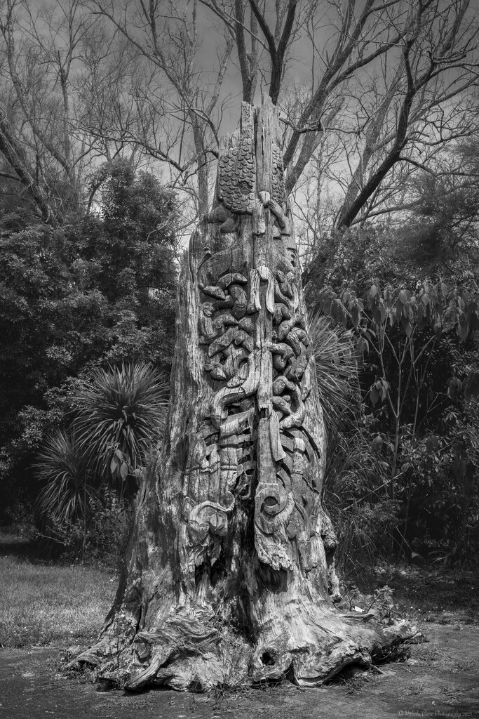 Carved Tree Trunk by nickspicsnz