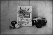 12th Feb 2025 - My first SLR camera