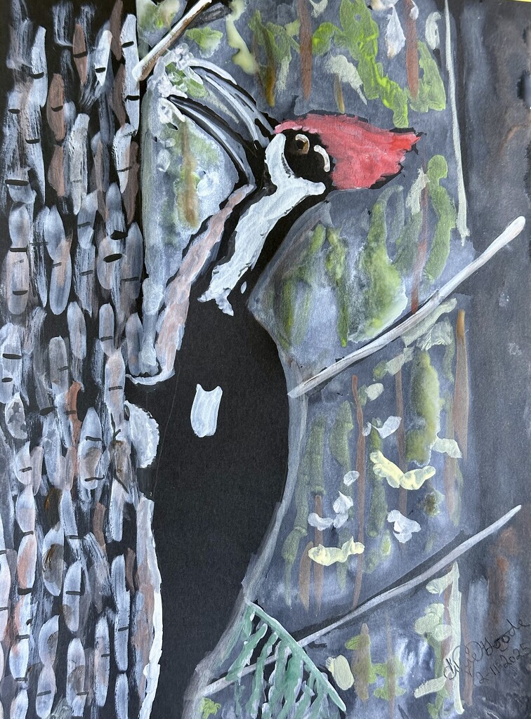 Piliated woodpecker  by pandorasecho