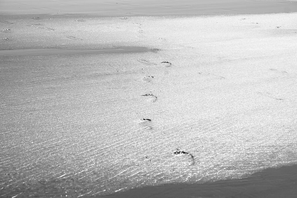 Footsteps in the sand by dkbarnett