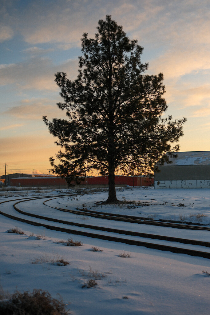Frigid morning by josharp186