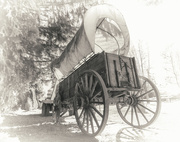 11th Feb 2025 - Covered Wagon -  FOR Day 11