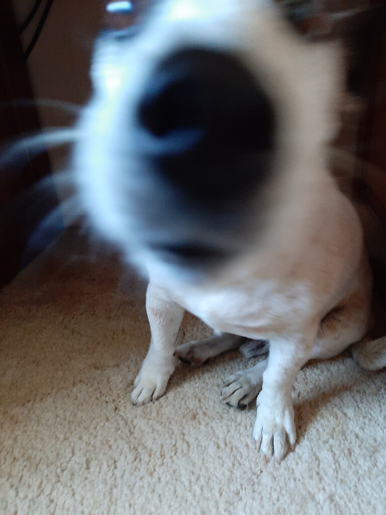 No Photos... by mozette