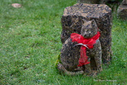 9th Feb 2025 - Tiddles
