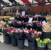 11th Feb 2025 - Valentine Flowers 