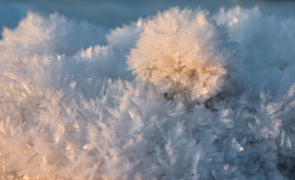 Ice crystals by okvalle