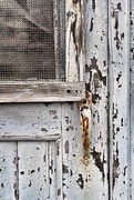 10th Feb 2025 - Old Door Detail