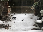 13th Feb 2025 - Better Stay on the Ground