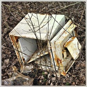 10th Feb 2025 - Did you loose your safe?