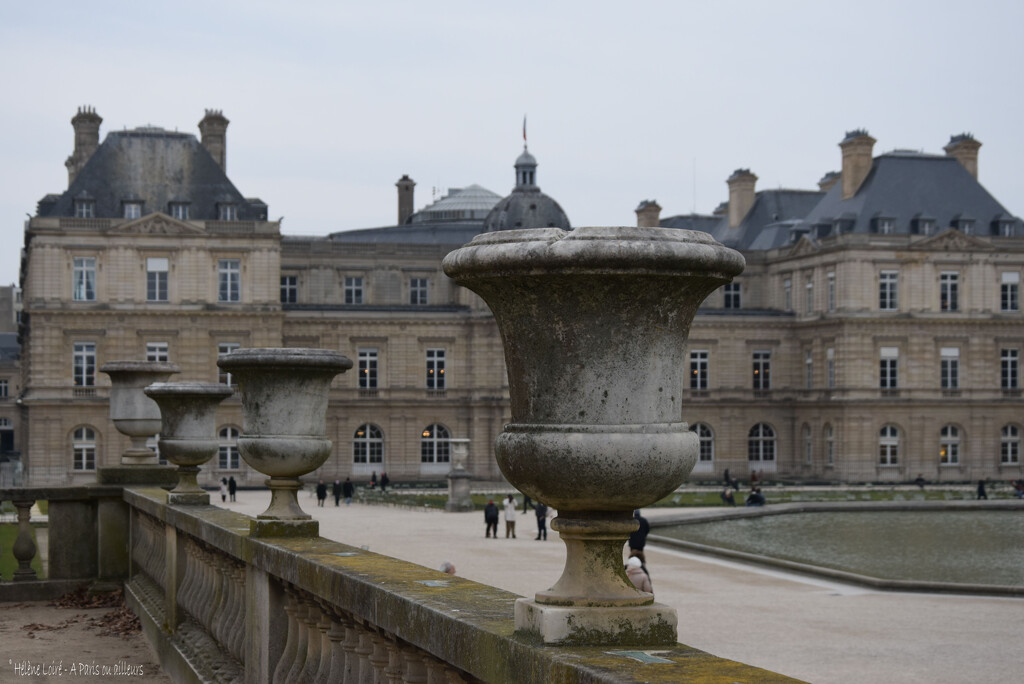 No flower during winter time by parisouailleurs