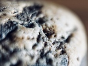 12th Feb 2025 - Pebble 