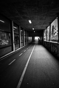 12th Feb 2025 - Light At The End Of The Tunnel