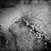 Lagoon in Monochrome