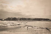 12th Feb 2025 - Salt Marsh in Winter