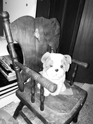 12th Feb 2025 - FOR12 - Vintage Child's Chair and Toy Dog