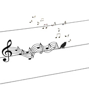 13th Feb 2025 - Just listen to the birds sing 🎶