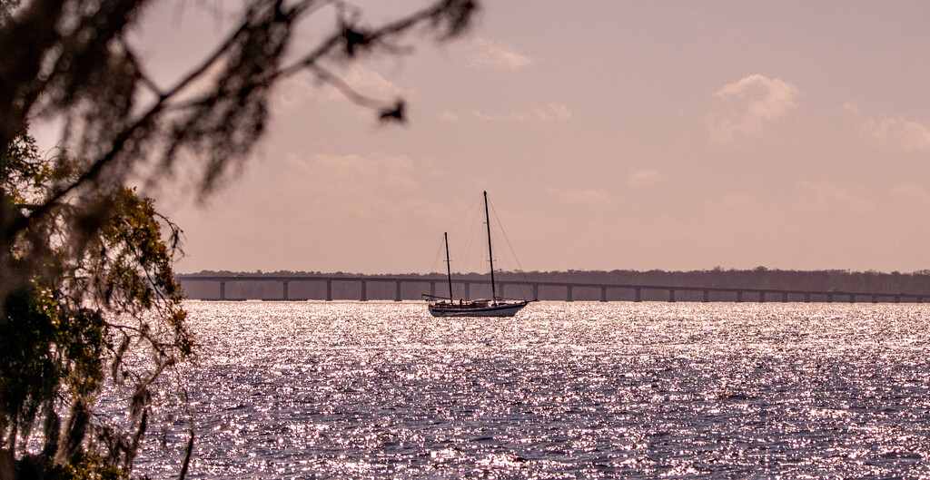 Glistening Water on the River! by rickster549