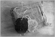 13th Feb 2025 - WW1 Dog Tags