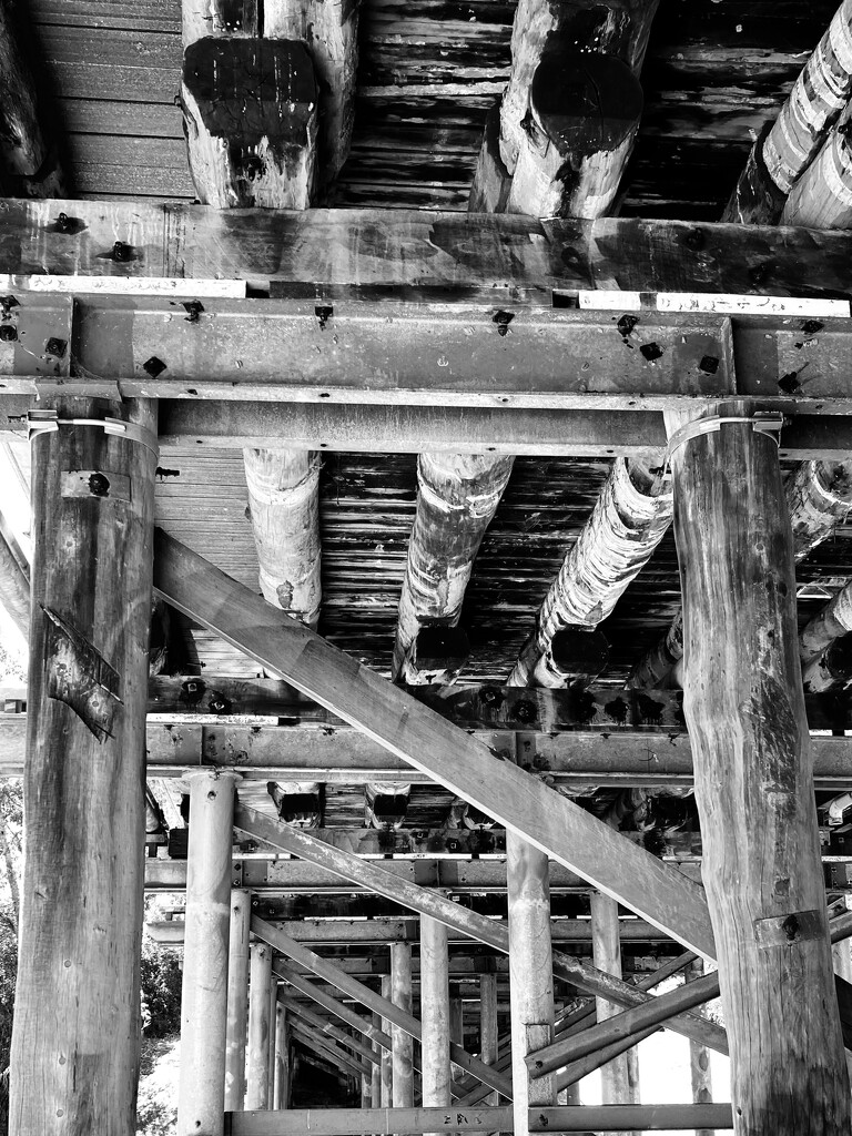 Under the Bridge by narayani