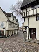 13th Feb 2025 - Elm Hill