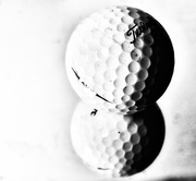 13th Feb 2025 - ‘Fore’