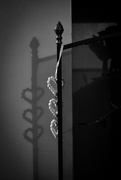 9th Feb 2025 - Hearts in Shadow