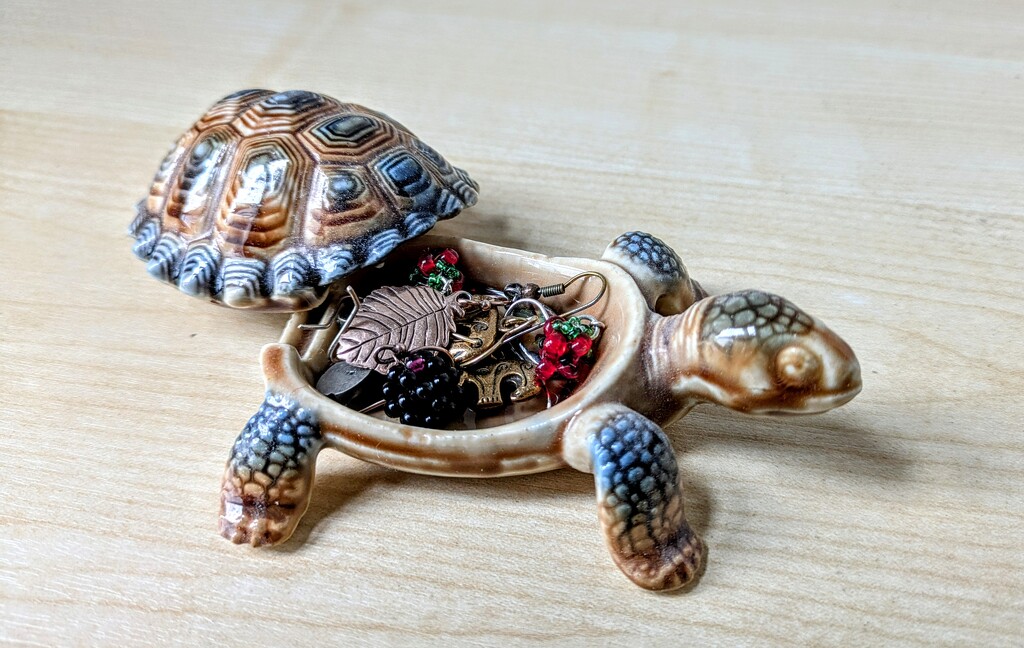 Trinket tortoise  by boxplayer