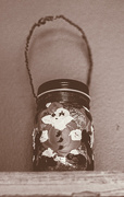 13th Feb 2025 - Forgotten