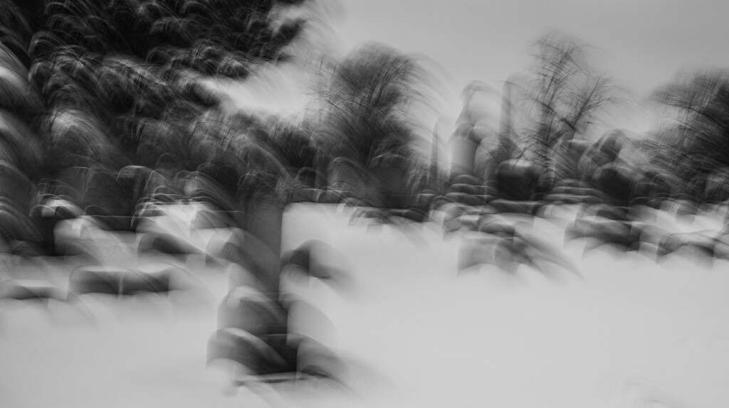 And the dead rose like a freezing wind by darchibald