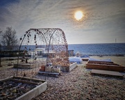 13th Feb 2025 - My winter garden