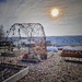 My winter garden