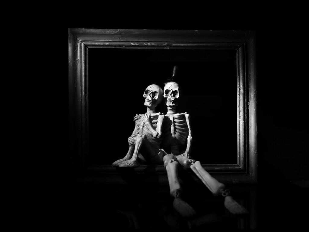 wedding portrait by northy