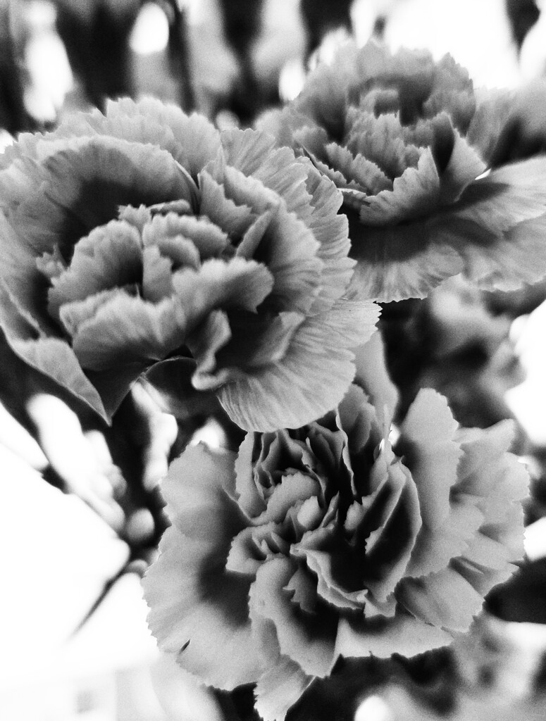 Deep by edorreandresen