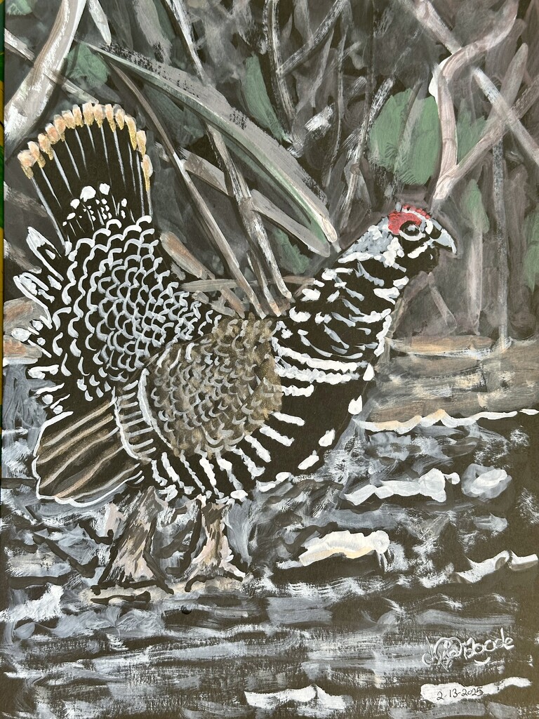 Spruce Grouse by pandorasecho