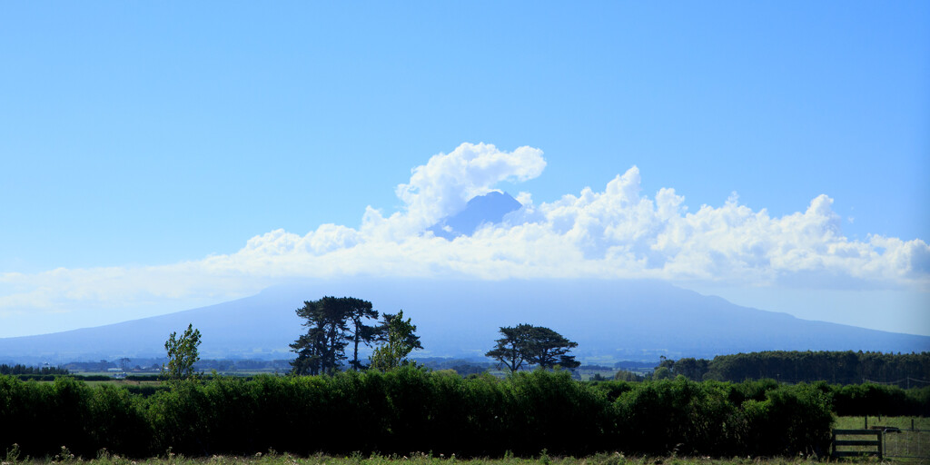 'The Naki' by dide