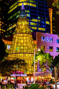14th Feb 2025 - Orchard Road, Singapore at Night
