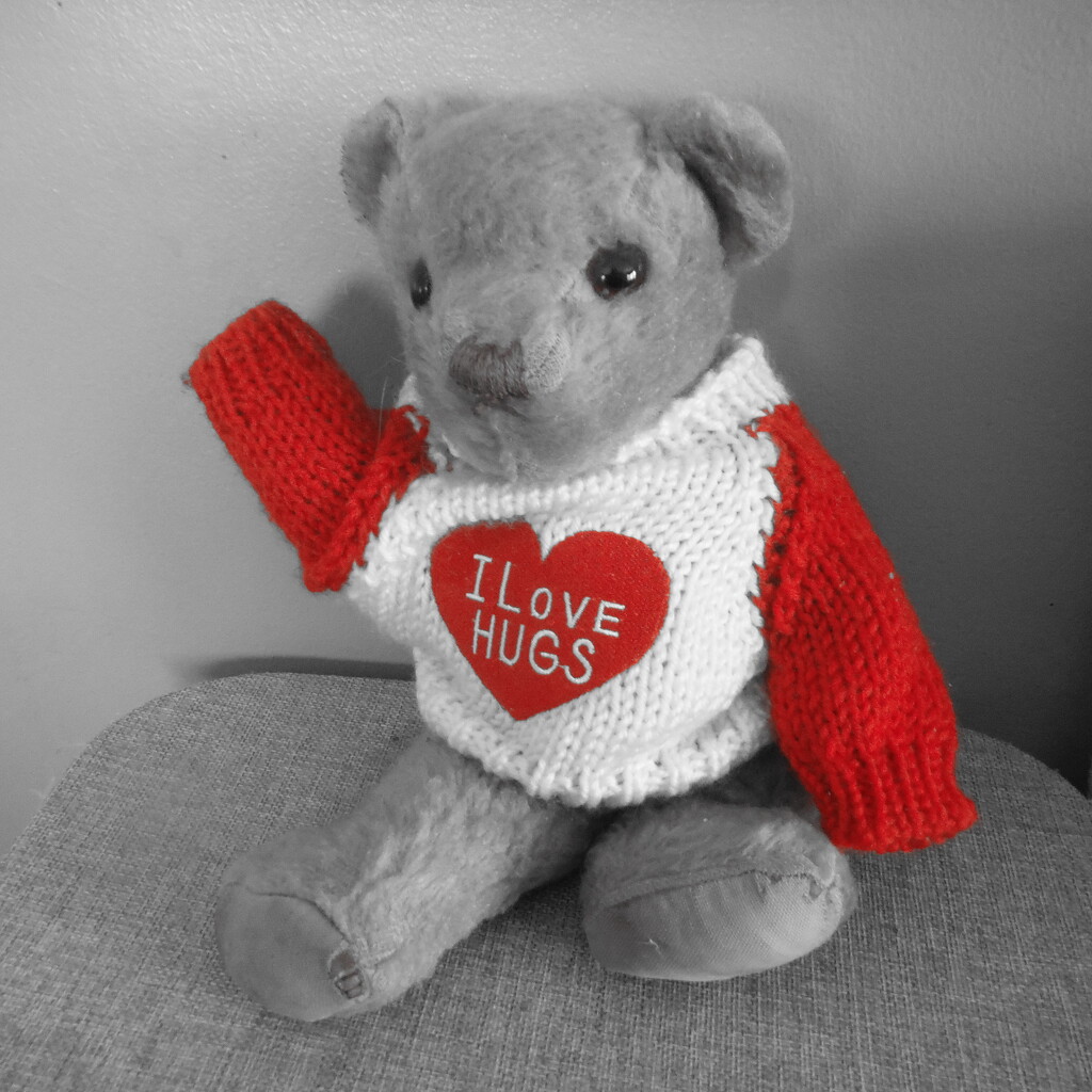 FOR14 - Vintage Teddy (with a Flash of Red) by spanishliz