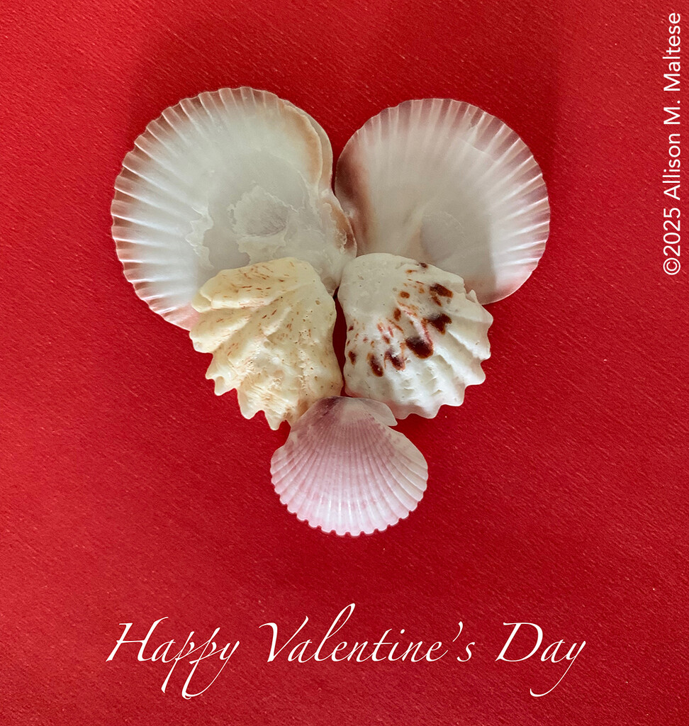 Happy Valentine's Day by falcon11